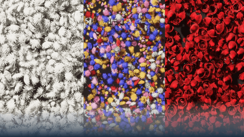 Real Meta 대표 이미지