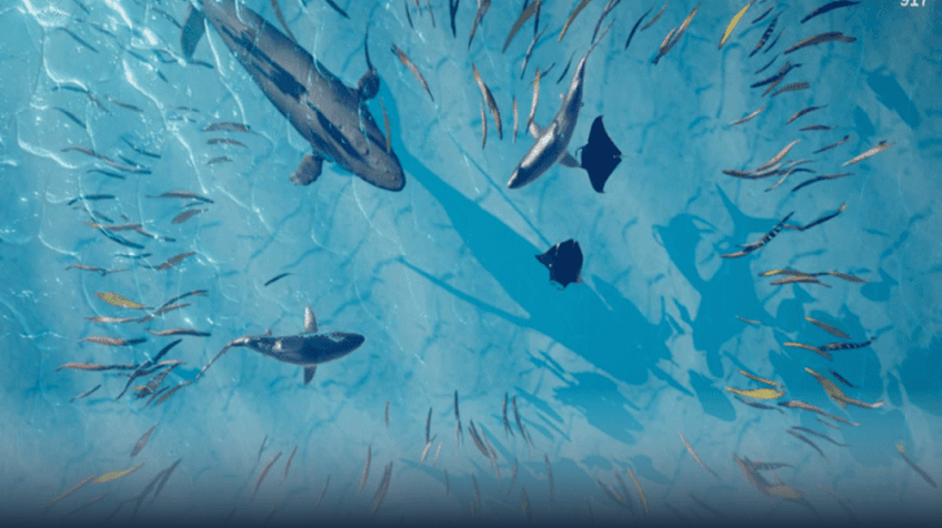 Real Meta 활용 사례